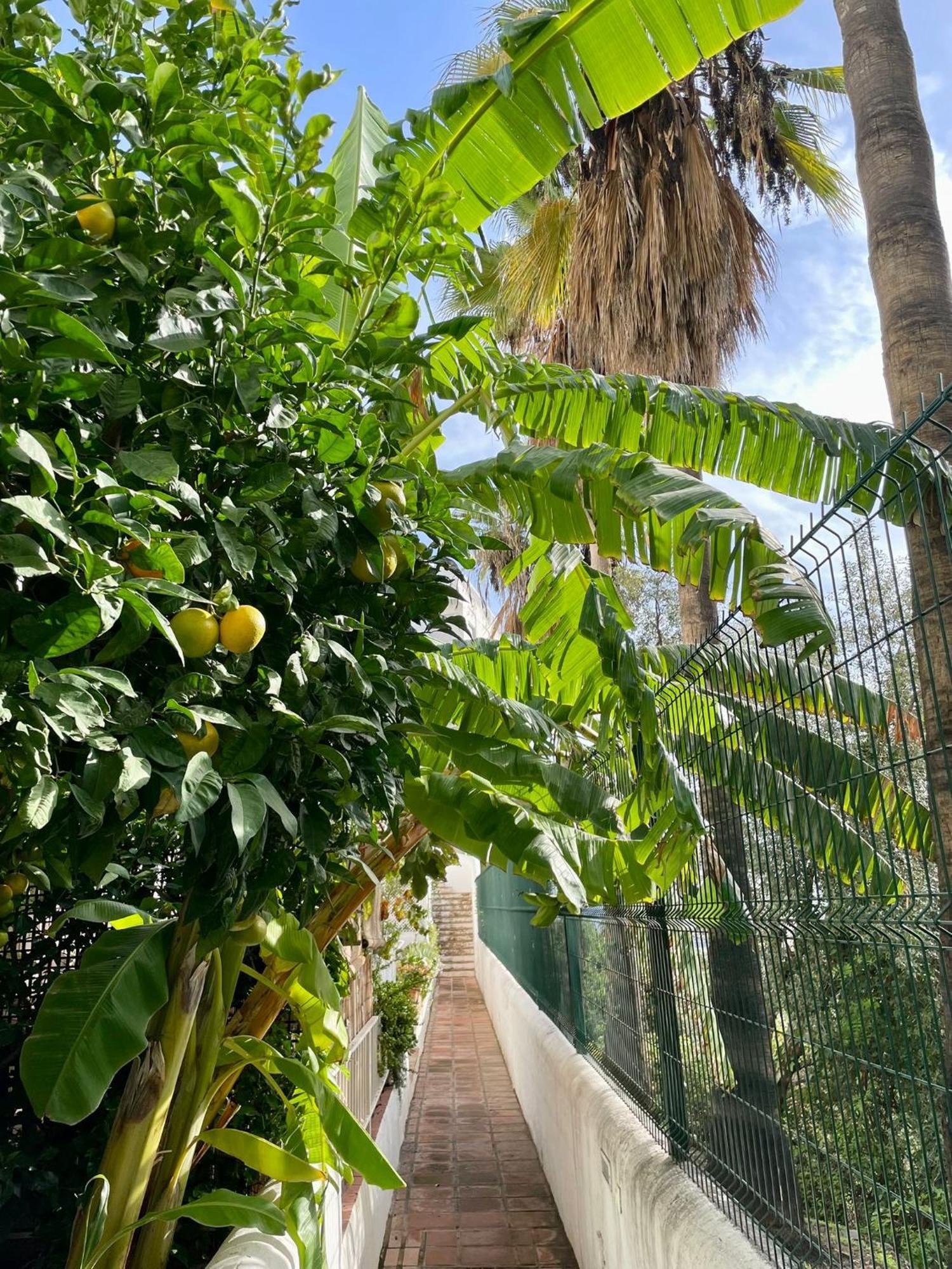 丰希罗拉Sun Castle公寓 外观 照片